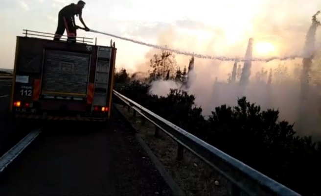 Yol kenarındaki ağaçlık alanda yangın
