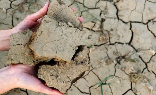 Şanlıurfa’da kuraklık hasar ödemesi yapılacak