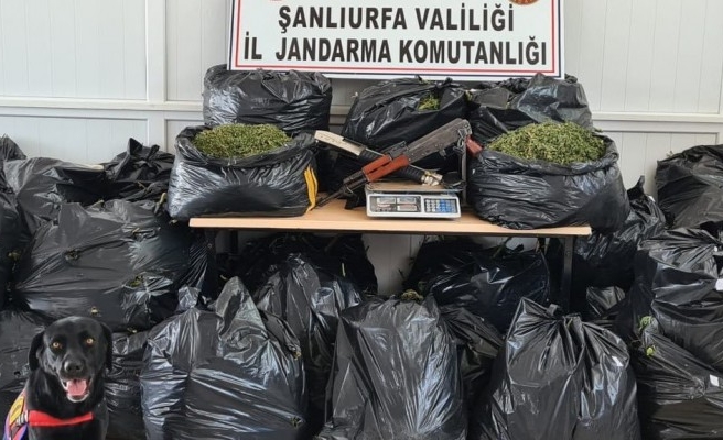 Şanlıurfa’da uyuşturucu operasyonu: 10 gözaltı