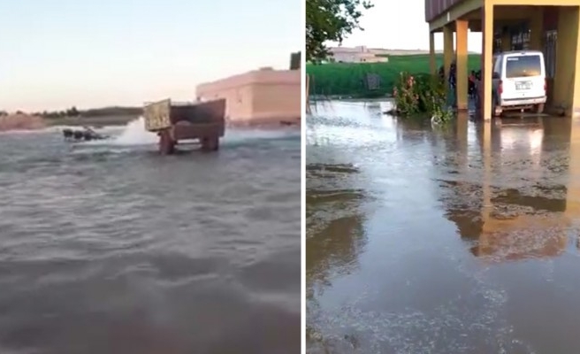 Suruç’ta mezra sular altında kaldı