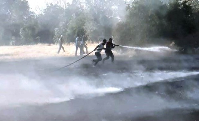 Ceylanpınar’da anız yangını