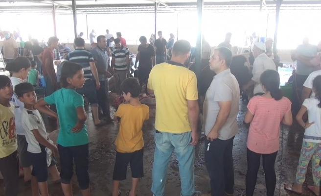 Çocukların gözü önünde kurban kestiler