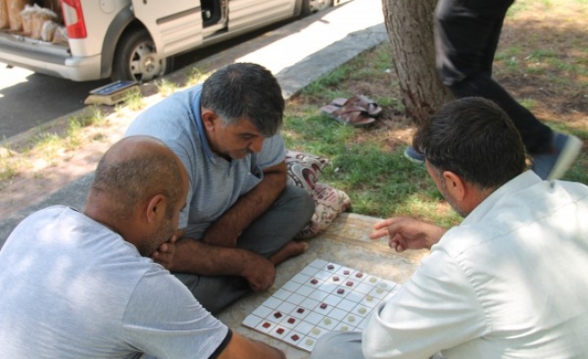 Şanlıurfa'da dama oyunu yaşatılıyor