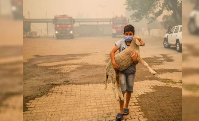 Urfalı çocuk yangının simgelerinden biri oldu