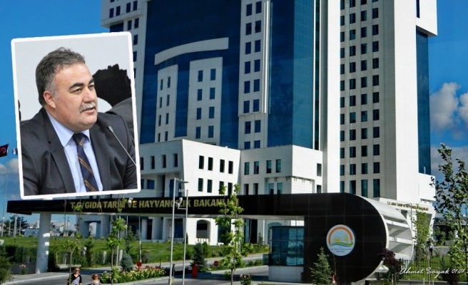 Şanlıurfalı bürokrat görevden alındı