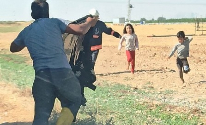 Şanlıurfa'da arı saldırısı