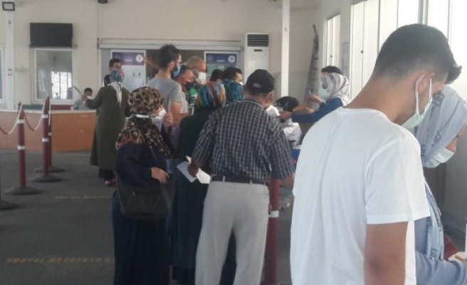 Vakalar artınca vatandaşlar aşıya koştu 