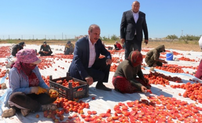 Şanlıurfa'dan Avrupa'ya ihracat