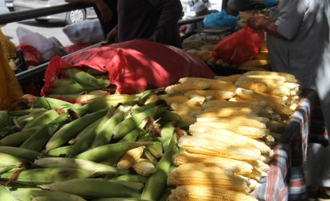 Şanlıurfa'da süt mısır tezgâha indi