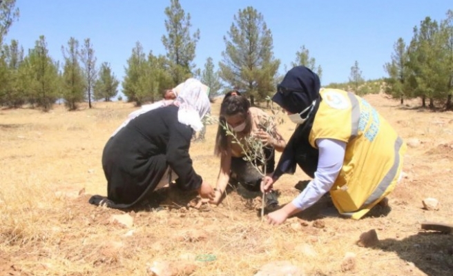 Haliliye Belediyesinden çocuklara anlamlı proje