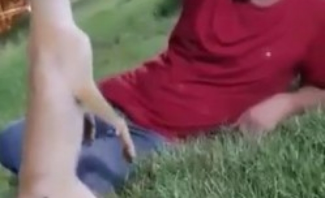 Tilkiyle Şanlıurfalının yüzleri gülümseten dostluğu