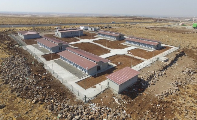 Siverek'te sokak hayvanları için barınak yapılıyor