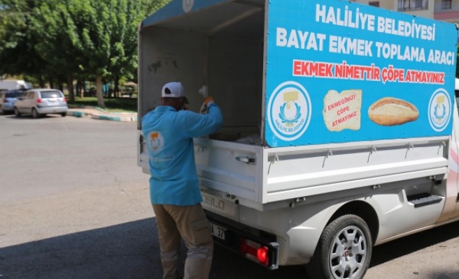 Haliliye Belediyesi, aylık 15 ton ekmek topluyor