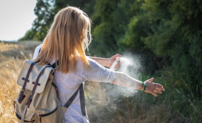 Böcek, sinek ve arı sokmasına dikkat