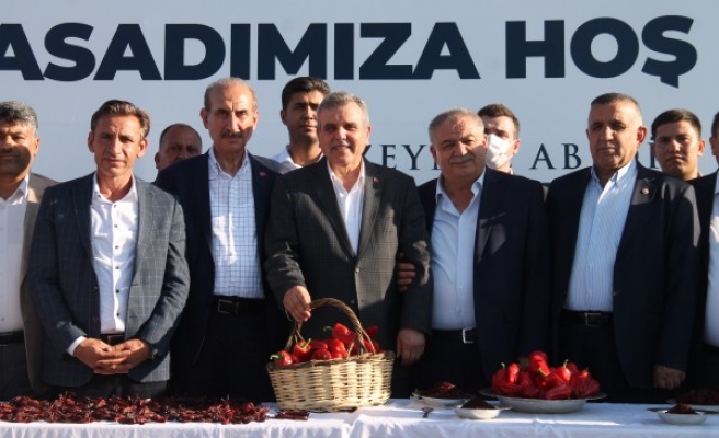 Şanlıurfa'da isot hasadına başlandı