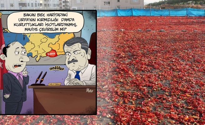 Urfa'nın kırmızılığı karikatüre konu oldu: 