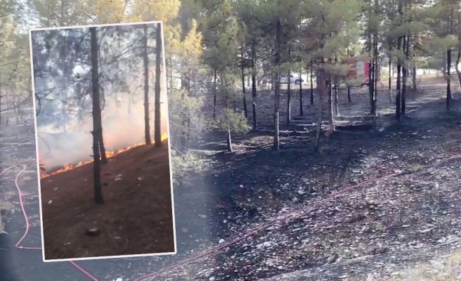 Atatürk Orman'ındaki yangın kontrol altına alındı