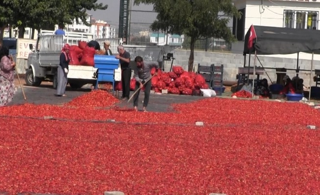 Şanlıurfa’nın ‘acı’ ile imtihanı sürüyor