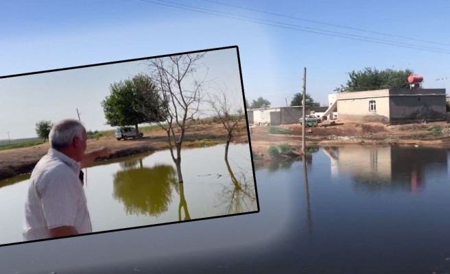 Suruç'ta köyler su altında kaldı!