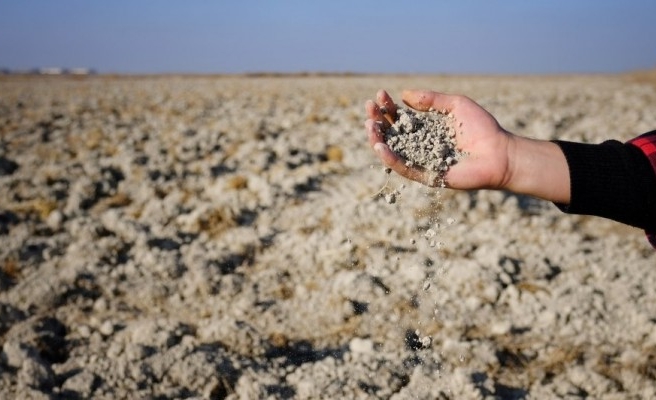 Kuraklıktan etkilenen çiftçilere destek verilecek