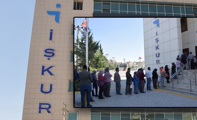 6 kişilik iş ilanına binlerce başvuru geldi