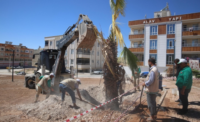 Haliliye’de sonbahar hazırlığı başladı