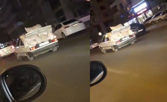 Urfalı'nın isot aşkı kamerada!