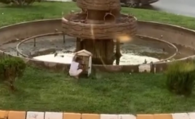 Süs havuzunun yanında tehlikeli oyun