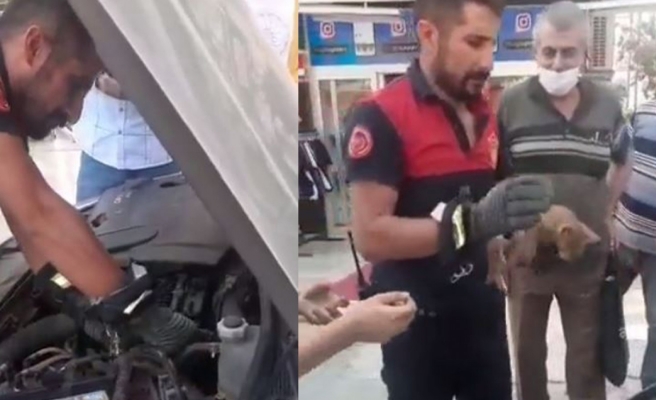 Yavru kediyi kurtarmak için itfaiye seferber oldu