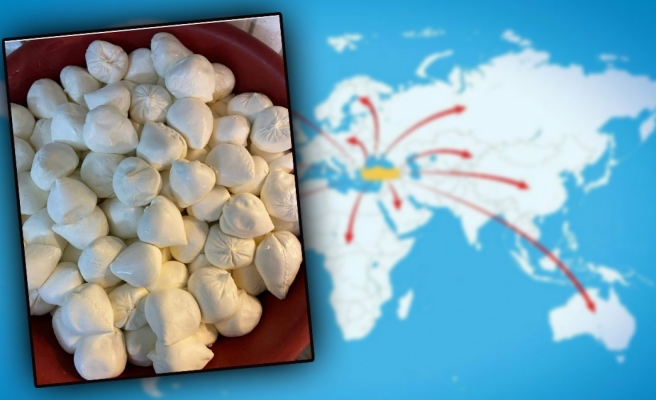 Urfa peyniri 4 kıtaya ihraç ediliyor