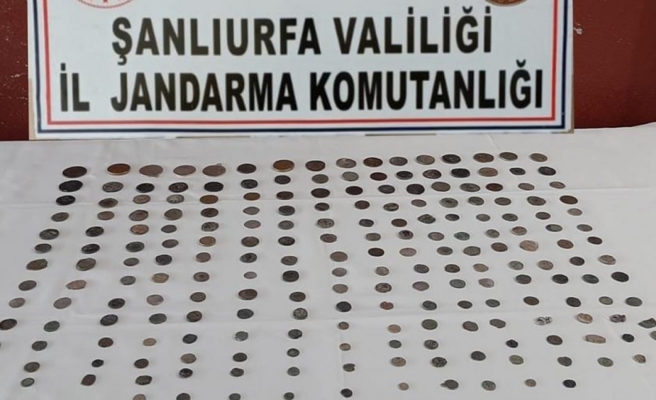 Jandarmadan kaçakçılık operasyonu: 210 sikke ele geçirildi