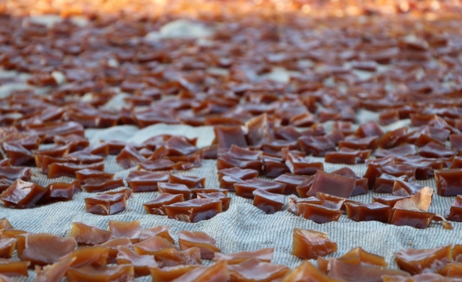 Şanlıurfa'da Şire Şenliği renkli görüntülere sahne oldu