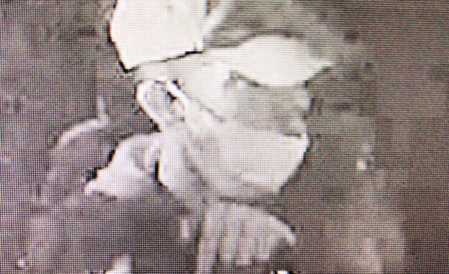 Şanlıurfa'da sağlık personeli görevdeyken otomobili çalındı!