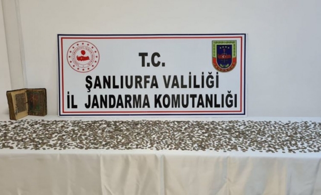 Urfa'da tarihi eser operasyonu: Binlerce sikke ele geçirildi