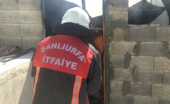 Odunluk yangınını itfaiye söndürdü