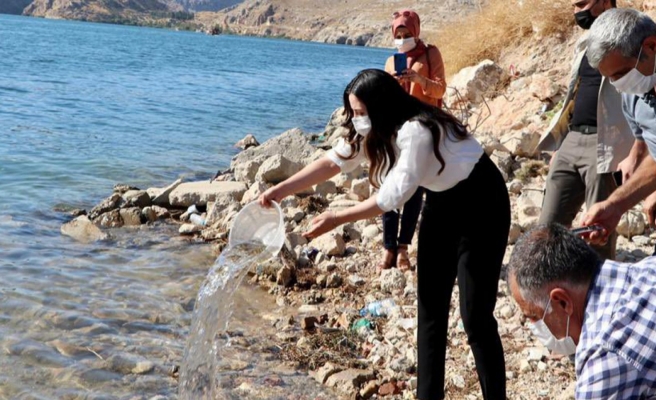 Fırat'a 75 bin adet yavru Şabut bırakıldı