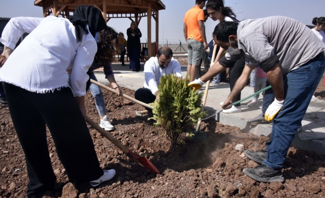 Hayvanseverler rehabilitasyon merkezini ağaçlandırdı