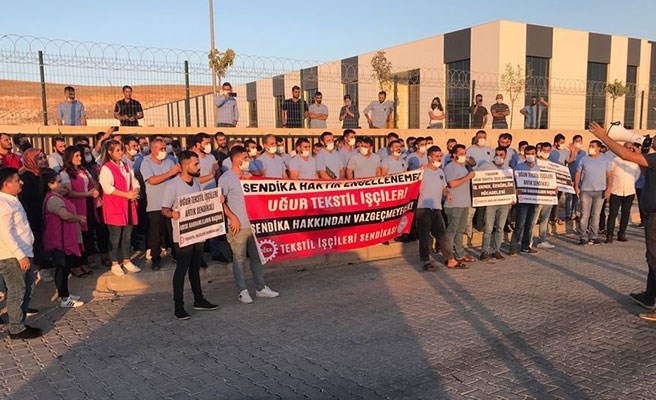 Urfa'daki tekstil fabrikasında toplu işten çıkarma!