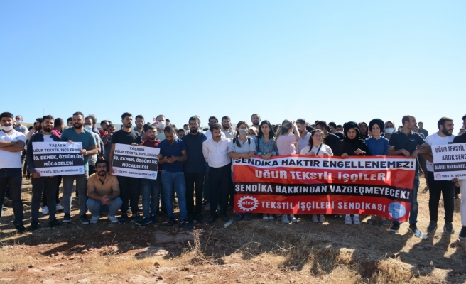 Urfa'da işten çıkarılan yüzlerce işçi nöbete başladı!