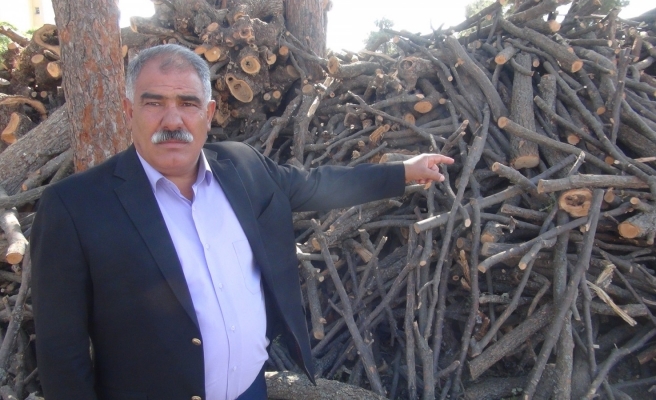 Odunculardan Urfalıları sevindiren karar: Zam yok