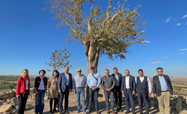 Şanlıurfa’ya üst düzey ziyaret
