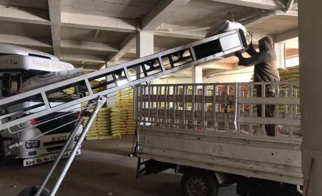 Şanlıurfa'da çiftçilere tohum desteği