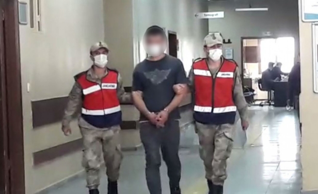 Urfa’da tavuk hırsızını jandarma yakaladı!