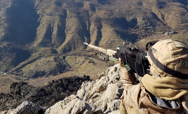 Urfa sınırında terör örgütüne darbe!