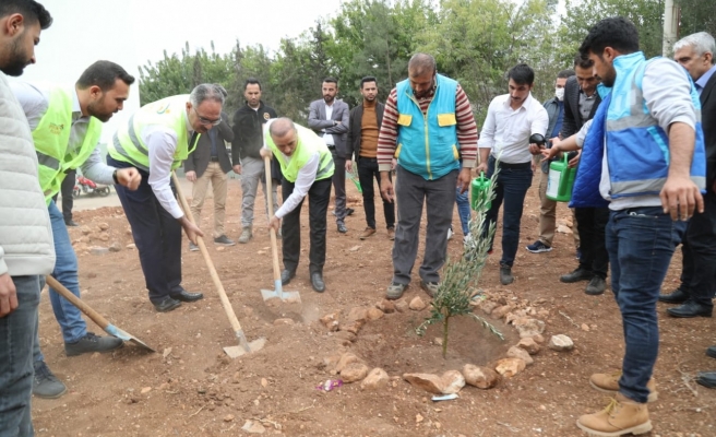 Eyyübiye’de ağaçlandırma seferberliği