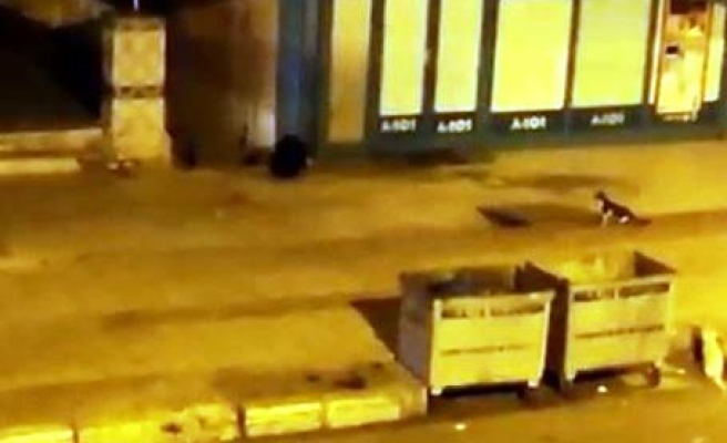 Şanlıurfa'da şüpheli çanta paniğe neden oldu