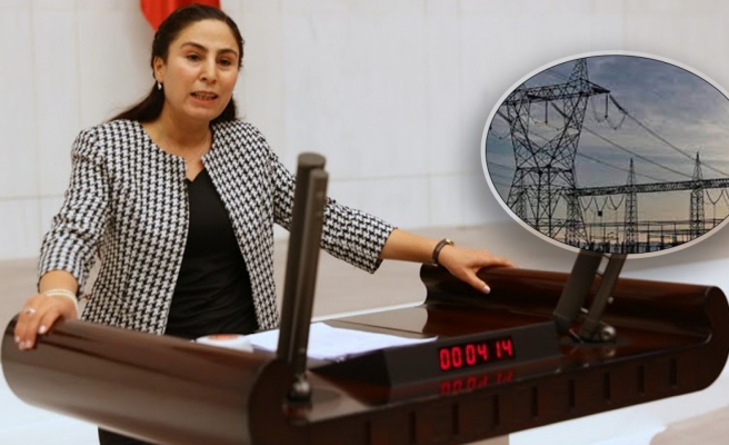 DEDAŞ Meclisin gündeminde!