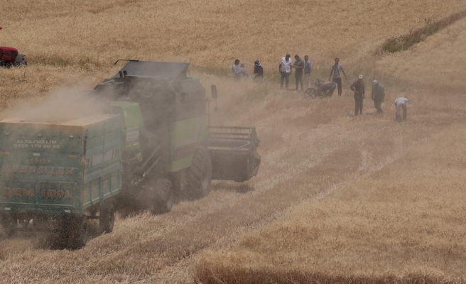 Tarımsal destekler belli oldu