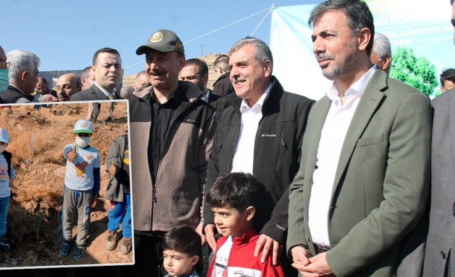 Şanlıurfa’da binlerce fidan toprakla buluştu