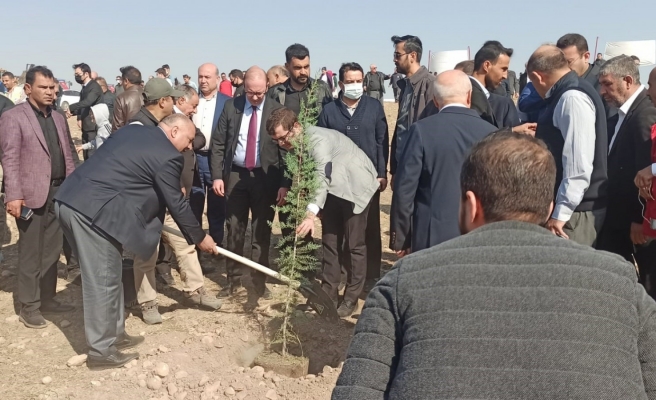 TİGEM'de şehitler adına binlerce fidan dikildi